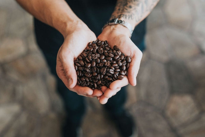 Freezing Coffee Beans - Why and How You Should Do It?