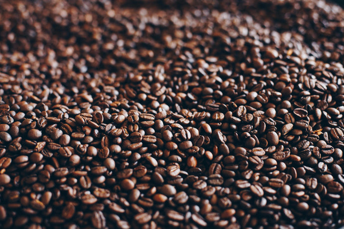 Understanding Coffee Beans — Arabica vs Robusta